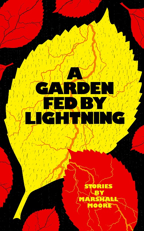 E-Book - A Garden Fed by Lightning - Cover